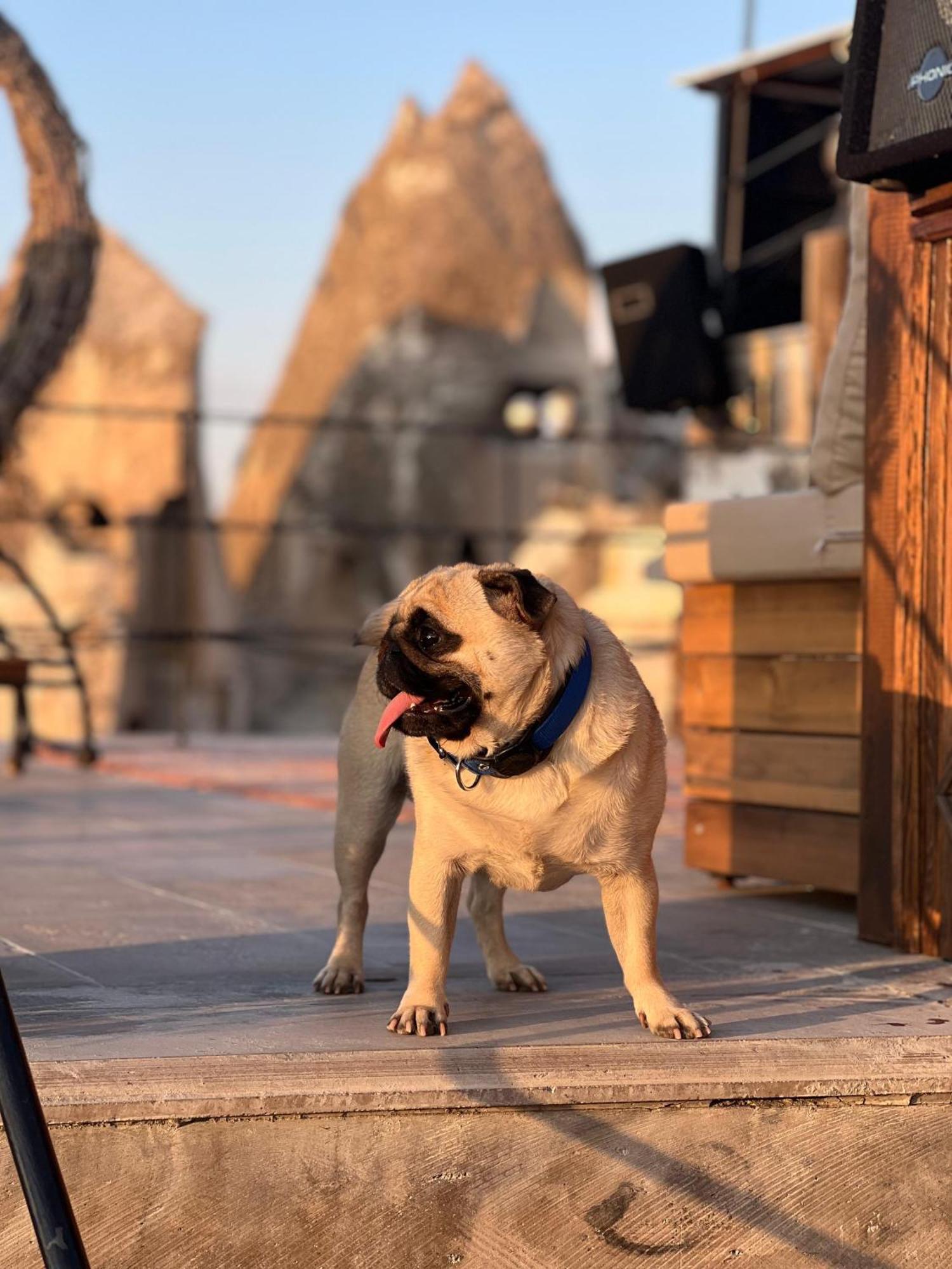 Castle Cave Hotel Göreme Zewnętrze zdjęcie